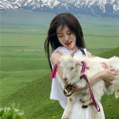 猩球崛起2:黎明之战 在线观看